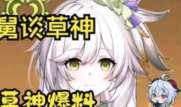 原神草神视频爆料大全,揭秘神秘力量与全新剧情