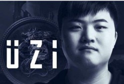 弘哥爆料小华佗视频播放,小华佗视频播放背后的惊人真相