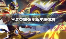 王者未来新皮肤爆料最新,揭秘新皮肤爆料，神秘英雄即将登场！