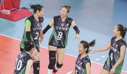 辽宁女排爆料最新消息,揭秘备战新赛季的备战秘籍与亮点