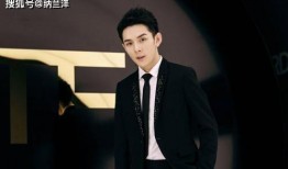 美国媒体圈内爆料王鹤棣,美国媒体圈内爆料的神秘新星