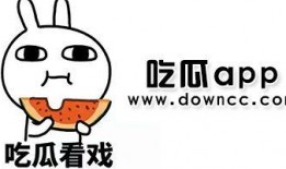 吃瓜吐槽的网红叫什么来着,揭秘网络红人的幕后故事