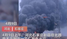石家庄爆料火灾事件视频,视频揭示惊心动魄救援瞬间