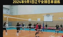 辽宁女排爆料最新消息,揭秘备战新赛季的备战秘籍与亮点