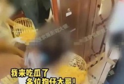 张小寒今日爆料视频全集,娱乐圈幕后真相大曝光