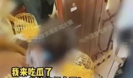 张小寒今日爆料视频全集,娱乐圈幕后真相大曝光