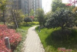 新和嘉苑最新爆料