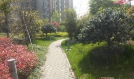 新和嘉苑最新爆料