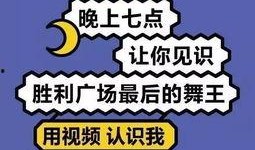 娱乐每日爆料文案,每日爆料背后的精彩故事
