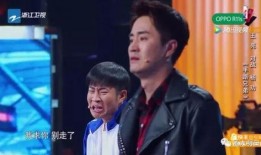 王亮爆料家庭纠纷视频,揭秘背后惊人真相