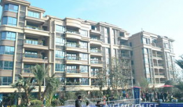 六安碧桂园爆料最新消息,揭秘项目进展与未来规划