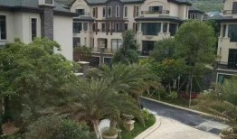 新黄河新闻爆料电话,揭秘背后真相