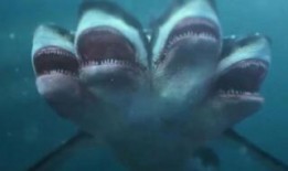 夺命五头鲨在线观看,深海恐怖惊悚全解析