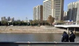 衡水第一个爆料视频,揭开真相背后的惊人内幕