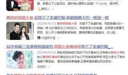 模特圈内人爆料视频播放,爆料视频背后的惊人真相