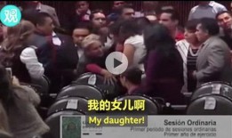 欧洲议员爆料事件视频播放,揭秘幕后的惊人真相