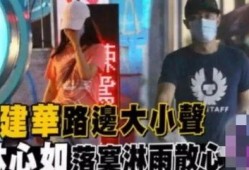 大仙爆料吵架事件视频,一场激烈争吵背后的真相揭秘