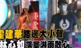 大仙爆料吵架事件视频,一场激烈争吵背后的真相揭秘