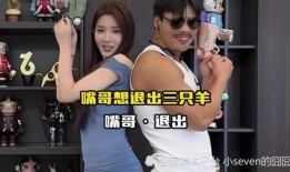 爆料华人夫妻事件视频播放,真相与争议交织