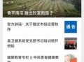 新闻爆料怎么拍照片的,捕捉瞬间的力量