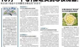 南京买房新闻爆料,最新爆料揭示买房趋势与政策动向