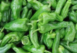 原生木浆爆料视频播放,揭秘环保造纸新篇章