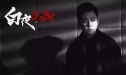 白日追凶在线观看,悬疑探案，黑白两道，正义与邪恶的较量