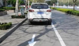 武汉停车爆料事件视频曝光