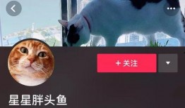 抖音网红小羊哥吃瓜视频,揭秘网红圈幕后故事