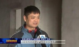 王亮爆料家庭纠纷视频,揭秘背后惊人真相