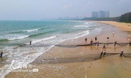 海南赶海爆料视频播放大全,海量视频全景呈现