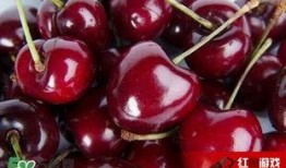 娱乐吃瓜酱车厘子,揭秘明星们的甜蜜生活