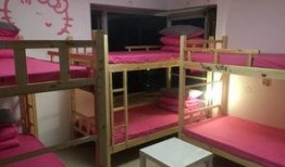 青春旅舍在线观看,青春记忆里的温馨时光