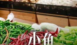 六菜最新爆料视频