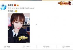 微博爆料杨紫事件视频,真相揭秘，网友热议不断