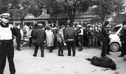 四川枪击案爆料新闻,悲剧背后的人间冷暖与法治拷问