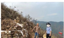 桂平西山镇碧滩火灾最新爆料,火势控制与救援情况详解
