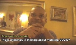 欧洲议员爆料事件视频播放,揭秘幕后的惊人真相