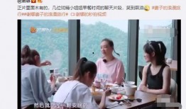 程莉莎被爆料了吗视频,真相与争议全解析