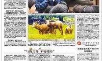 北京青年报新闻爆料,揭秘事件背后真相