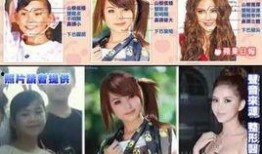 整容明星爆料综艺节目视频,综艺节目爆料大揭秘