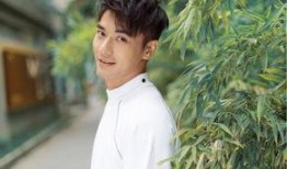 郑凯爆料娱乐圈视频,真实与虚假的碰撞