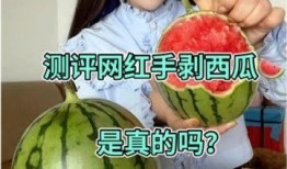 吃瓜网红事件是真的吗,真相揭秘还是网络谣言？
