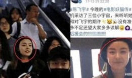 陈飞爆料视频在线观看,揭秘事件背后惊人真相