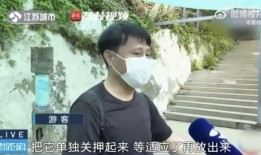 网红看别人吵架吃瓜,网络热议不断