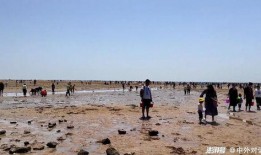 海南赶海爆料视频播放大全,海量视频全景呈现