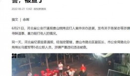 宜丰爆料小三案件最新