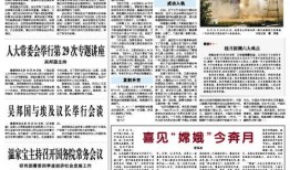 新闻线索爆料通报模板范文,揭秘事件真相