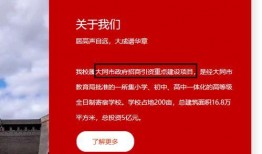 大同霸凌第一条爆料新闻,校园暴力阴影下的青春困境