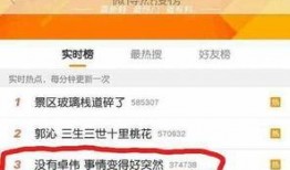 卓伟爆料破案最新,最新爆料案件侦破全过程